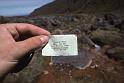 Traveling ID Card 029 New Zealand